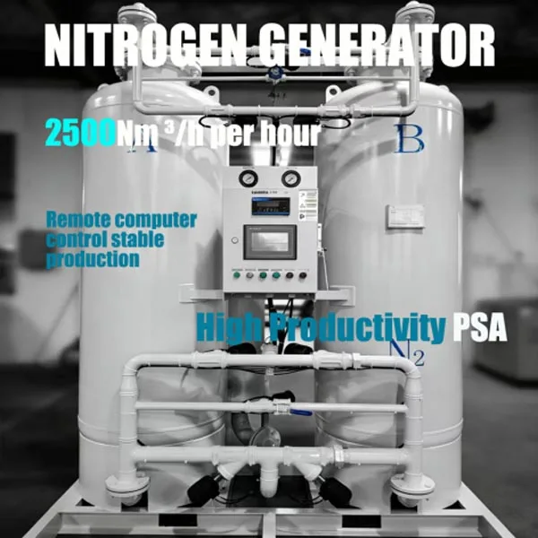 Oxygen generator